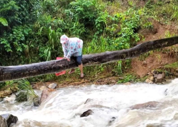 Thót tim nhìn cảnh cô giáo vùng cao bám thân cây vượt suối đến lớp