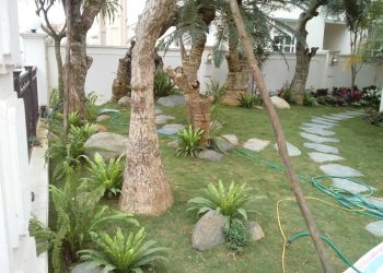 Thi công sân vườn tiểu cảnh đẹp