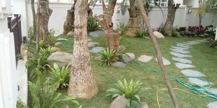 Thi công sân vườn tiểu cảnh đẹp