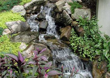 TIỂU CẢNH HÒN NON BỘ