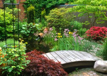 Thiết kế sân vườn biệt thự