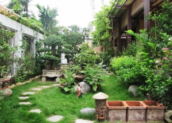 Mẫu thiết kế tiểu cảnh sân vườn biệt thự đẹp rước tài lộc cho gia đình