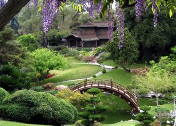 [Khám phá] Những mẫu tiểu cảnh sân vườn HOT nhất hiện nay