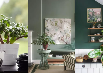 Các loại cây nên và tránh trồng trong nhà theo nguyên tắc phong thủy