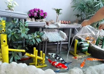 Bật mí những cách thay thế cỏ sân vườn cực hay giữ cảnh quan vườn đẹp