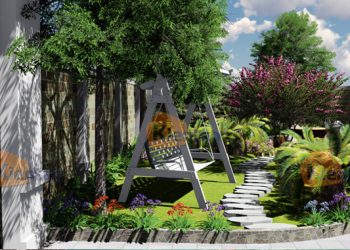 Cách trồng cỏ nhung Nhật bằng hạt- Kỹ thuật trồng cỏ nhung Nhật