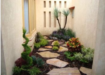 Thiết kế cải tạo khu vườn nhỏ chỉ dưới 2 triệu đồng