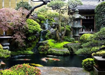 Hệ thống lọc hồ cá koi trong thi công tiểu cảnh sân vườn