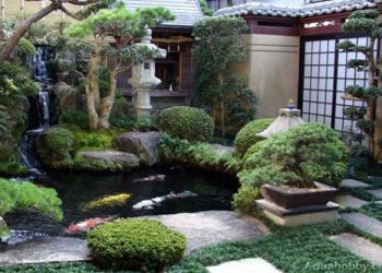 Hồ cảnh quan và ao cá nhỏ