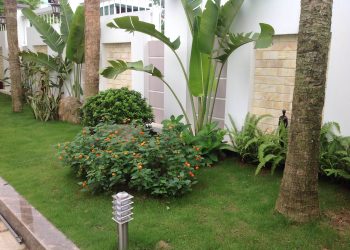 Thiết kế sân vườn tại Hà Nam