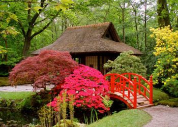 Thiết kế tiểu cảnh biệt thự | Thi công trọn gói