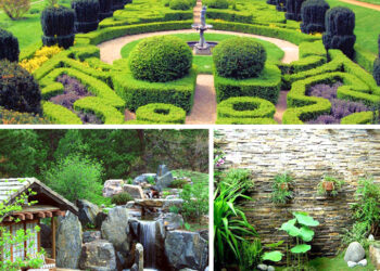 TIỂU CẢNH ĐẸP +43 Mẫu thiết kế tiếu cảnh mới nhất 2021