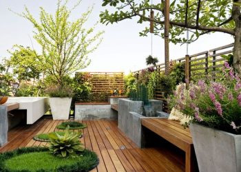 Mẫu thiết kế tiểu cảnh vườn sân thượng cho nhà phố