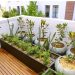 Vườn sân thượng trong thiết kế nhà phố tại Hà Nội