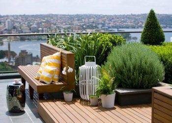 Thiết kế vườn sân thượng lý tưởng