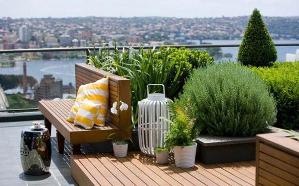 Thiết kế vườn sân thượng lý tưởng