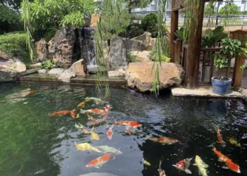 20+ mẫu thiết kế cảnh quan biệt thự sân vườn đẹp nhất 2022