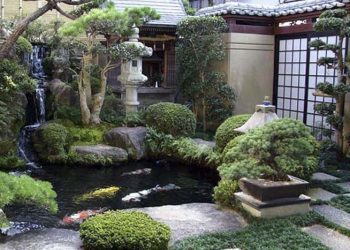 Mẫu thiết kế cảnh quan nhà vườn đẹp