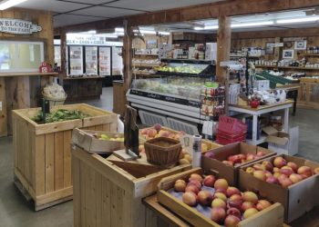 Top 15+ mẫu thiết kế cửa hàng trái cây ấn tượng nhất năm 2022