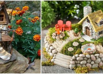 Thiết kế sân vườn mini cực dễ mà đẹp cho không gian nhỏ nhà bạn