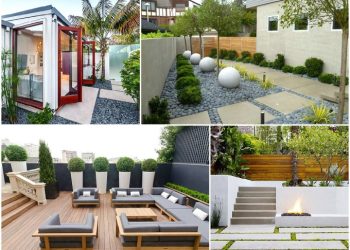 35+ thiết kế sân vườn sau nhà dễ làm xu hướng mẫu vườn đẹp