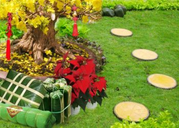Một số mẹo trang trí thiết kế tiểu cảnh đẹp đón Tết 2018