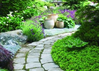 Thiết kế tiểu cảnh sân vườn đẹp với lối đi bằng đá