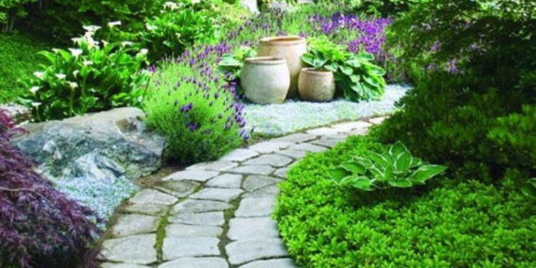 Thiết kế tiểu cảnh sân vườn đẹp với lối đi bằng đá