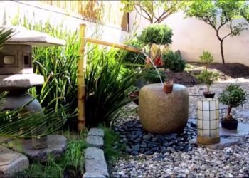 Ý tưởng thiết kế sân vườn mới lạ và độc đáo cho ngôi nhà đẹp