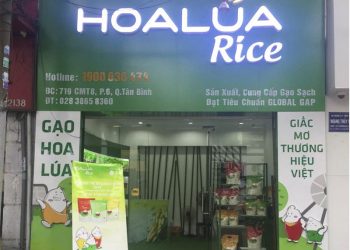 Top 15+ mẫu thiết kế cửa hàng gạo đẹp và ấn tượng