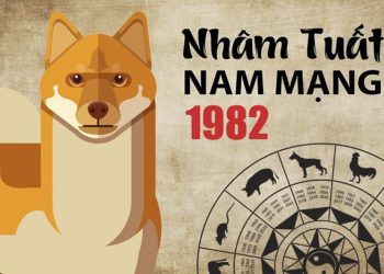 Sinh năm 1982 hợp hướng nào? Phong thuỷ cần biết