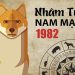 Sinh năm 1982 hợp hướng nào? Phong thuỷ cần biết