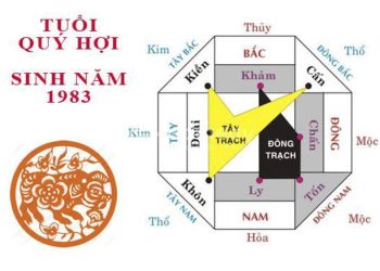 1983 hợp hướng nào – Chọn hướng nhà hợp phong thủy 