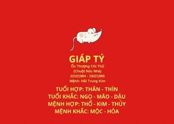Tuổi Giáp Tý 1984 hợp hướng nào? Hướng nhà hợp phong thủy