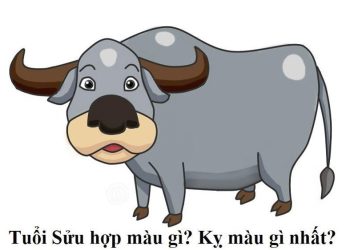 Sinh năm 1985 hợp hướng nào? Phong Thủy chọn hướng nhà cần biết