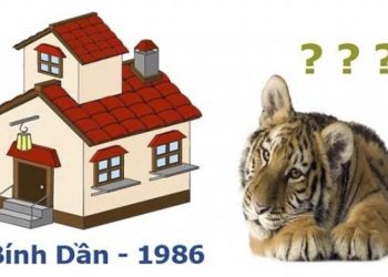Tuổi Bính Dần 1986 hợp hướng nào? Chọn hướng nhà mang lại tài lộc