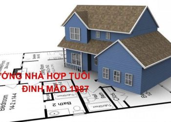 1987 Hợp hướng nào? Phong Thủy chọn hướng nhà cho Đinh Mão 1987