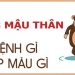 Năm 2028 là năm con gì, mệnh gì, hợp hướng nhà nào?